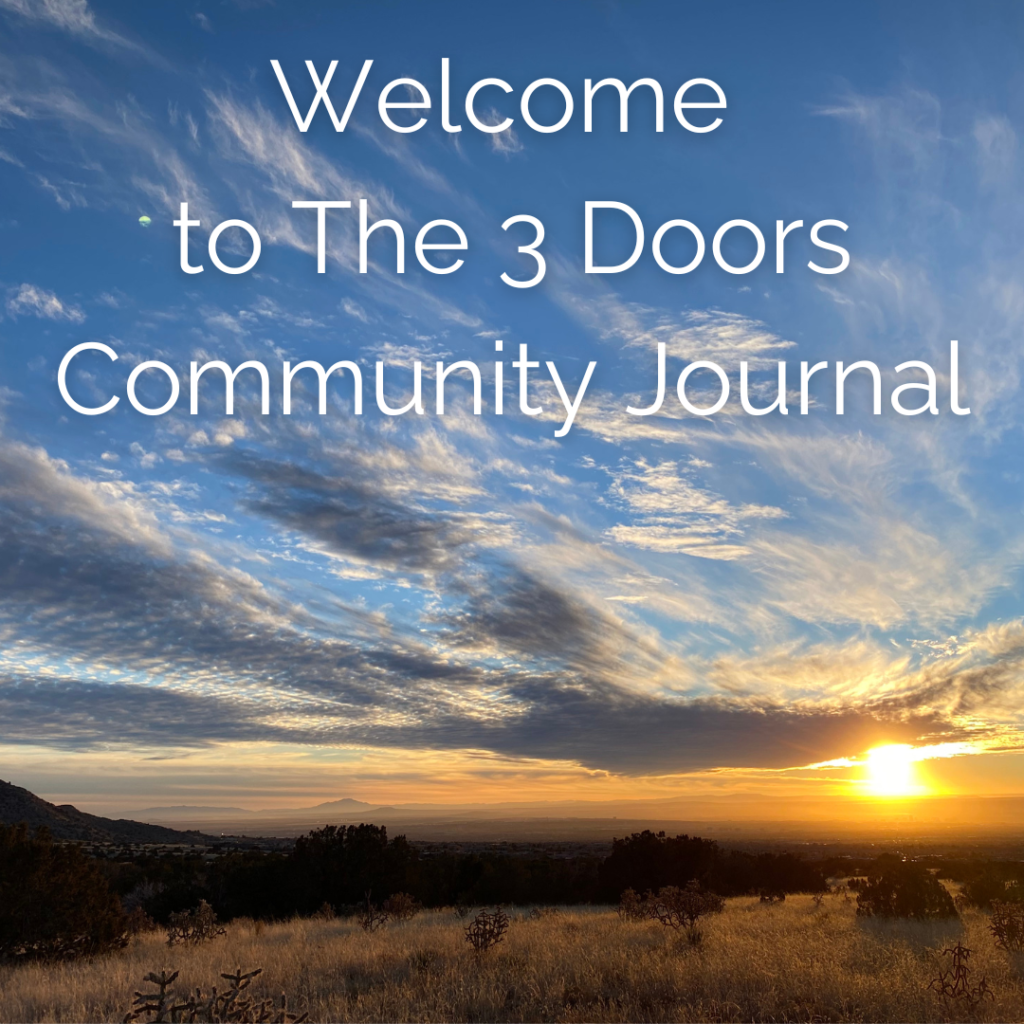 Welcome to The 3 Doors Community Journal