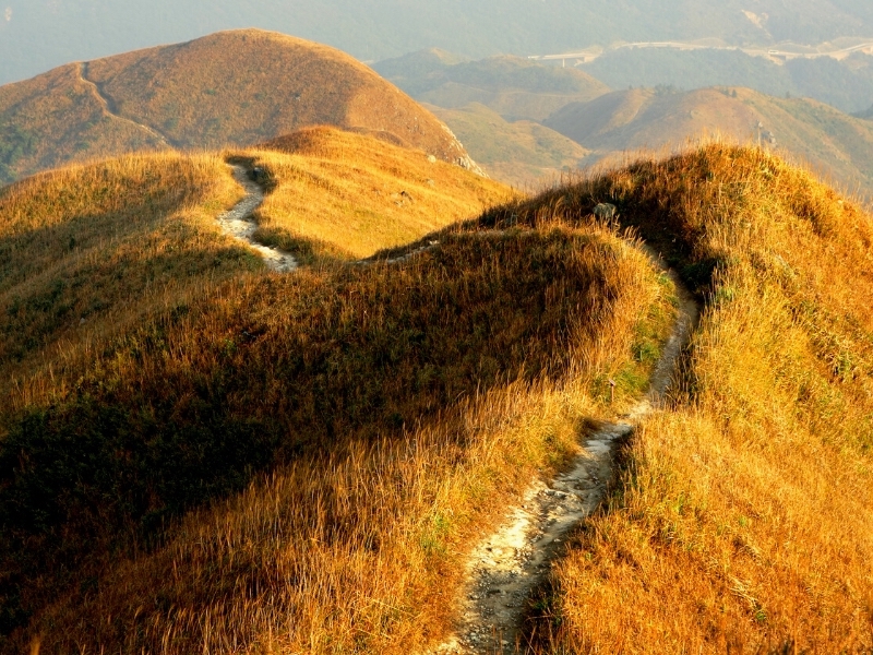 A path winds across sunlit grassy hilltops.